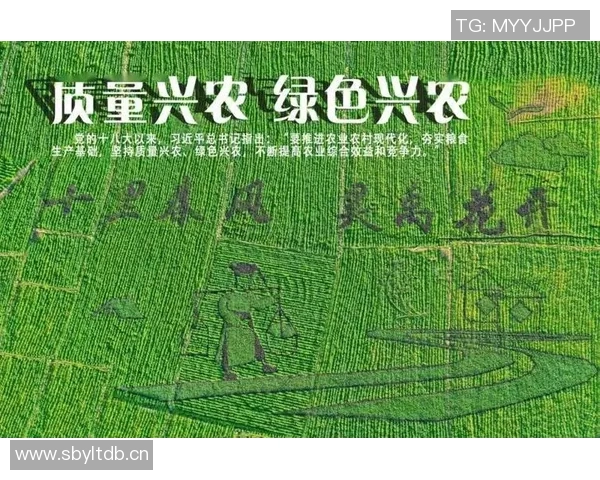 五谷丰登:探寻五大农作物在农业发展中的重要作用与未来前景